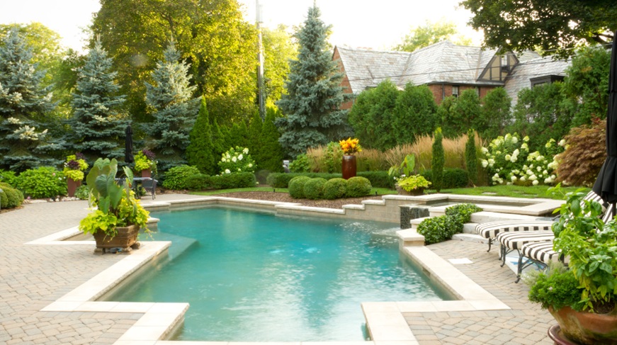 Benefits of Professional Design in Pool